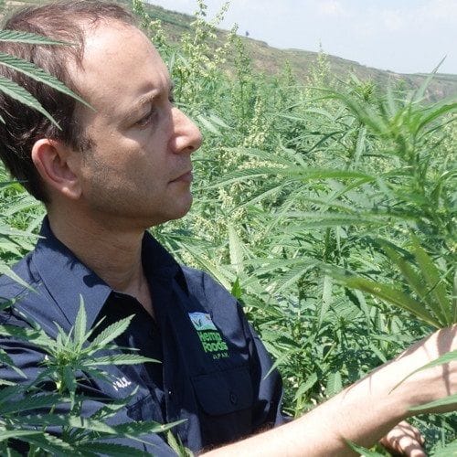 Australia's largest cannabis company enters JV with RFI Australia's largest cannabis company enters JV with RFI